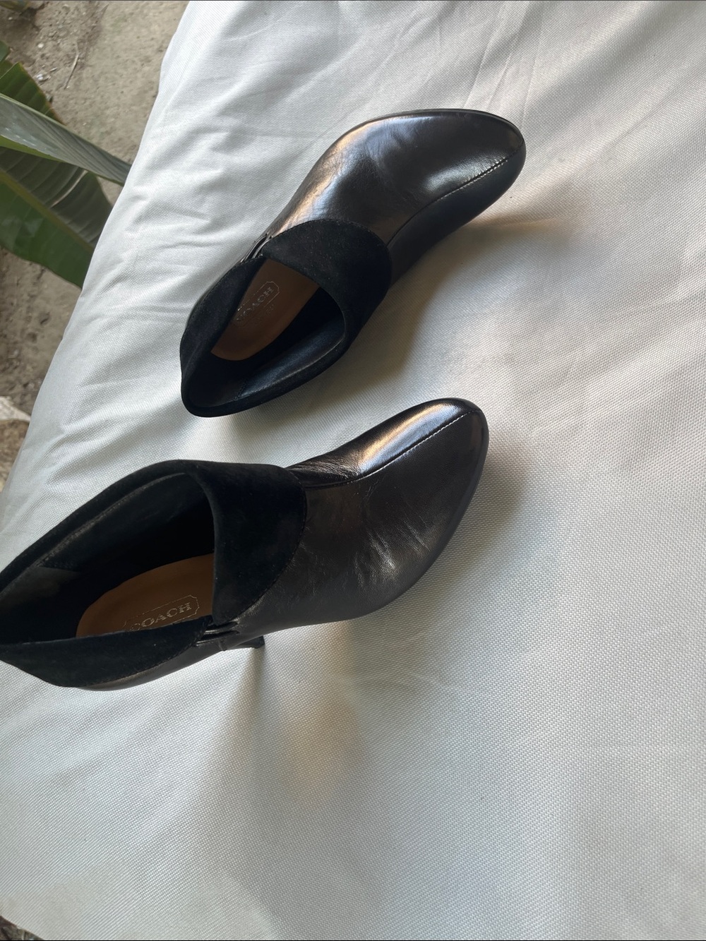 Coach Black Leather and Suede Ankle Booties